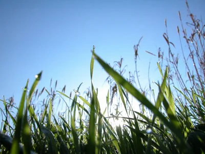 iStock_000000032940XSmall.jpg