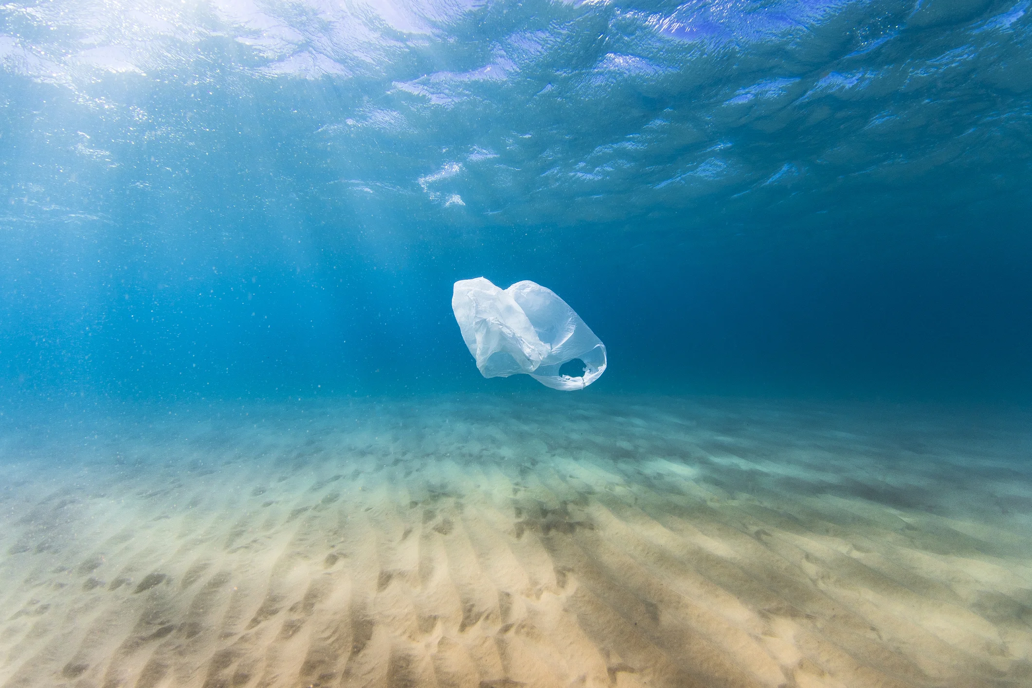 Moment on the lips, forever in our midst: an epidemic of single use plastic