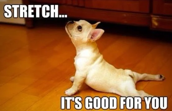 Courtesy of: http://dilkurslari.asia/memeru/flexible-puppy-meme.php