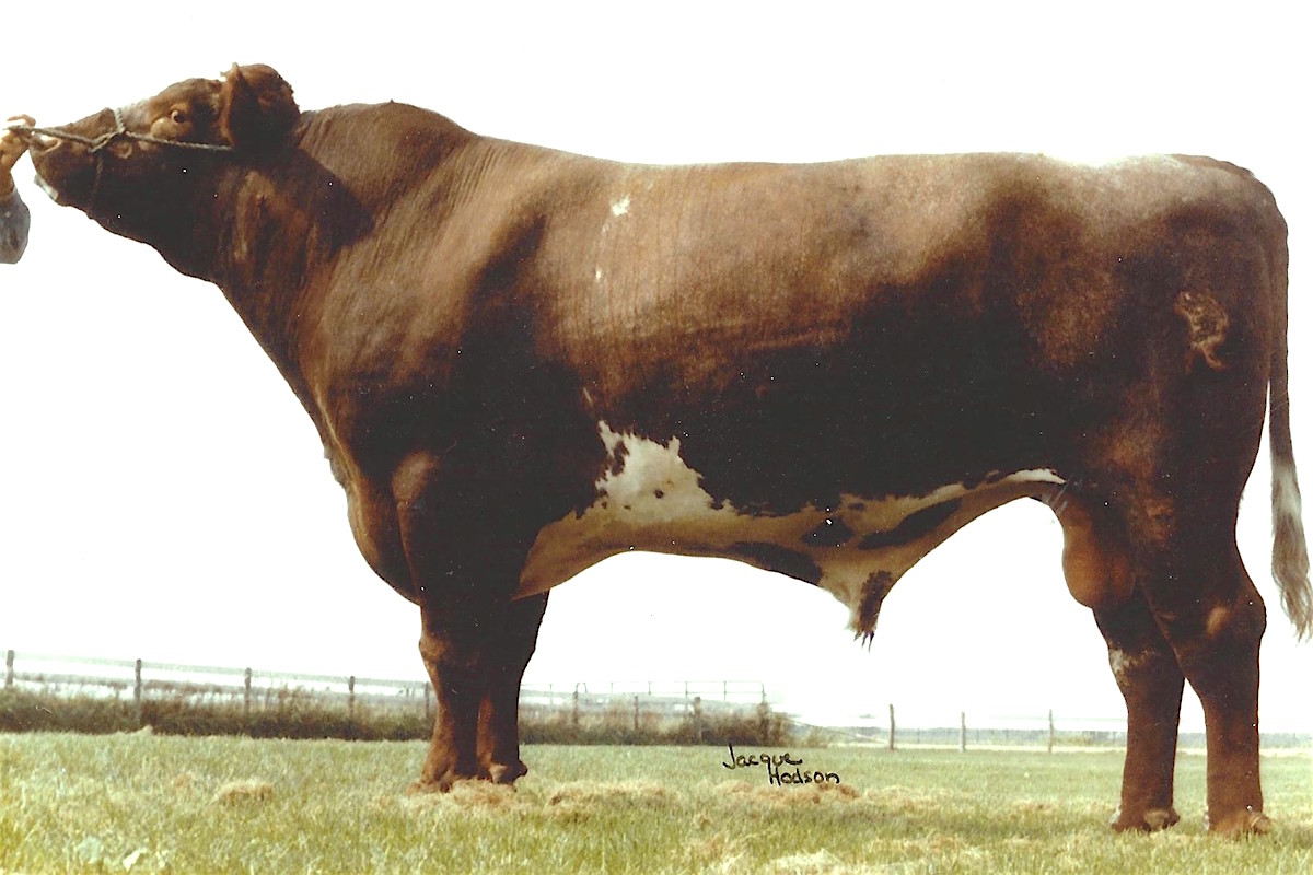 gx spiro copy.jpg