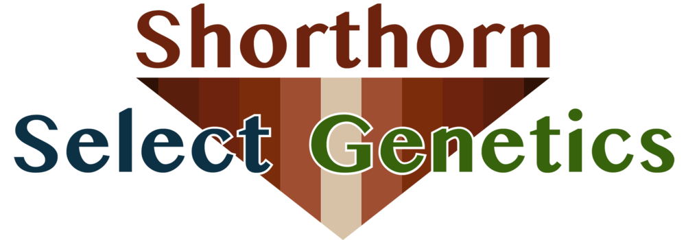 Shorthorn Select Genetics