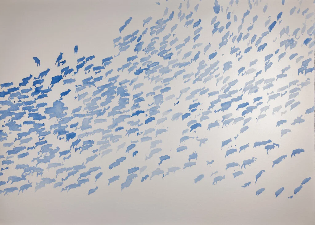 blue herd.jpg