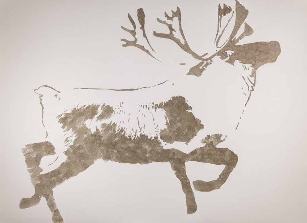 solo caribou.jpg