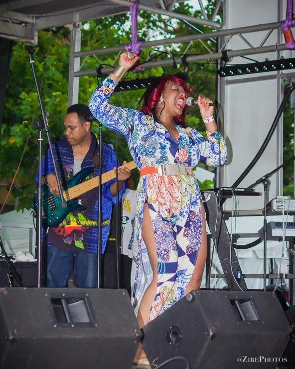 The Annual International African Arts Festival in Brooklyn