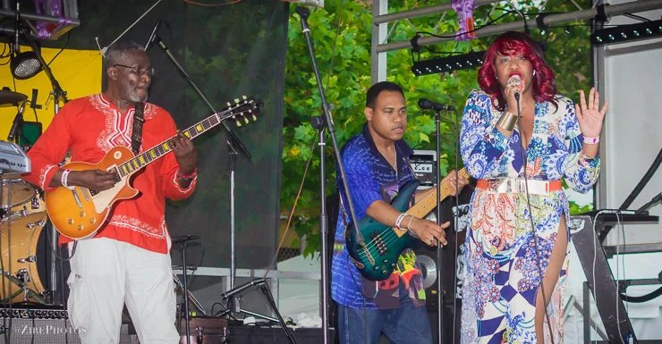 The Annual International African Arts Festival in Brooklyn