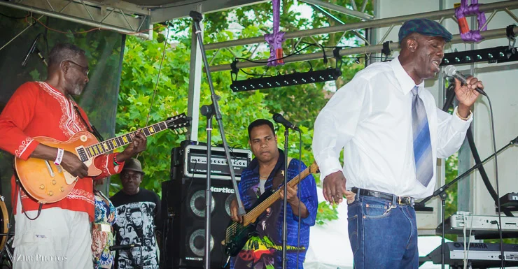 Teddy Brown Performs At The Annual International African Arts Fe