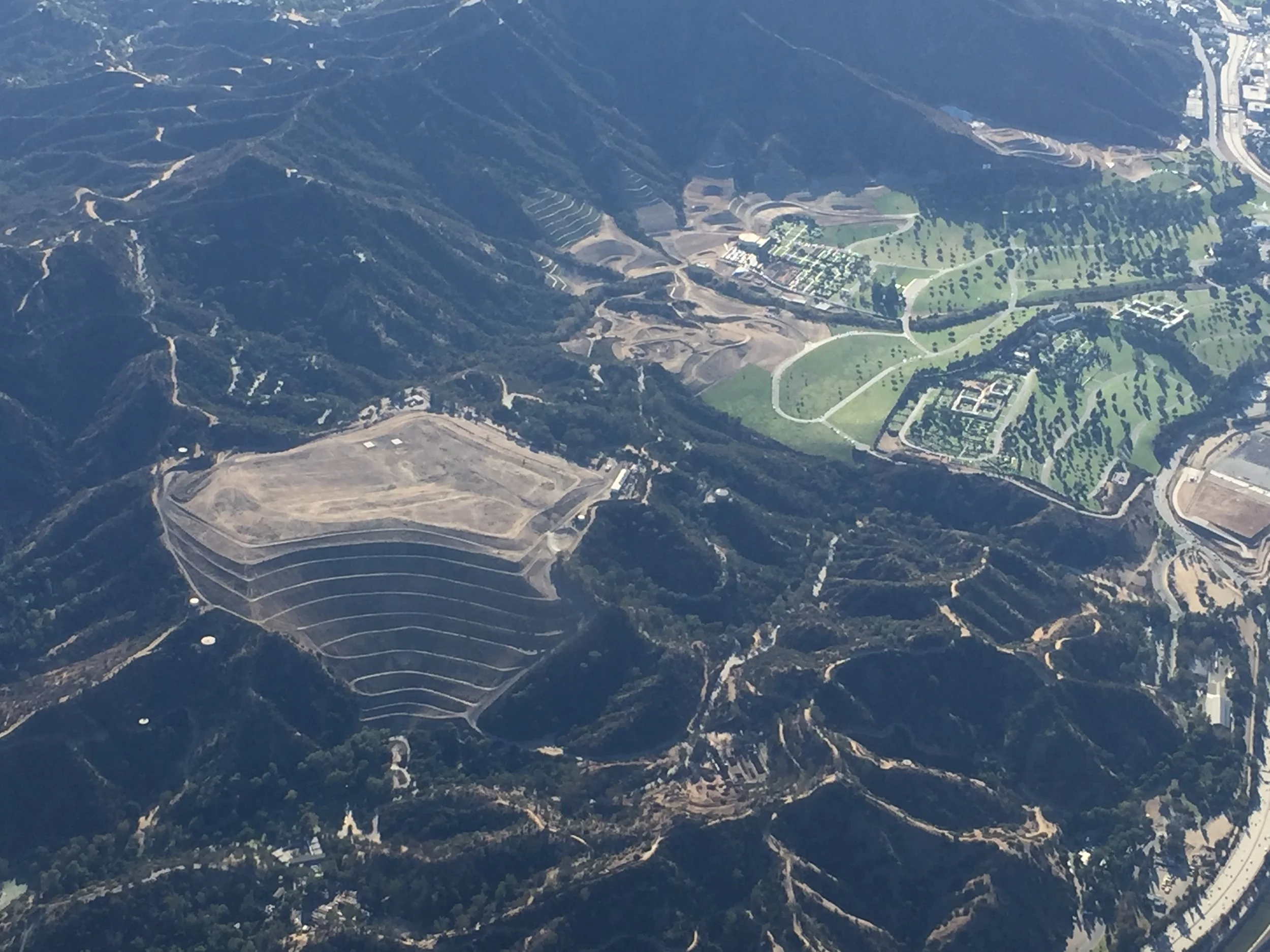 POOP TEST: The Gut Biome and Aggressive Behavior