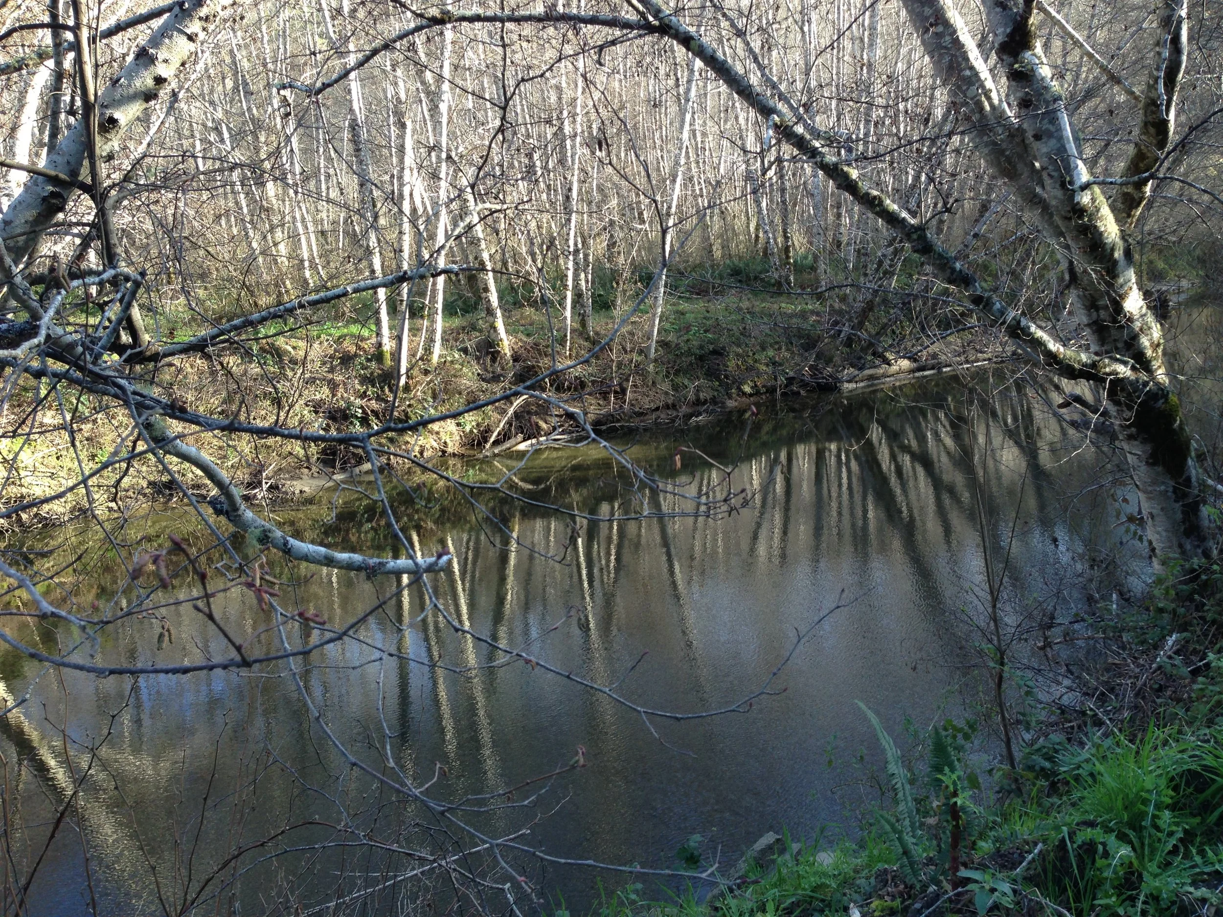 From Alexandra Fuller