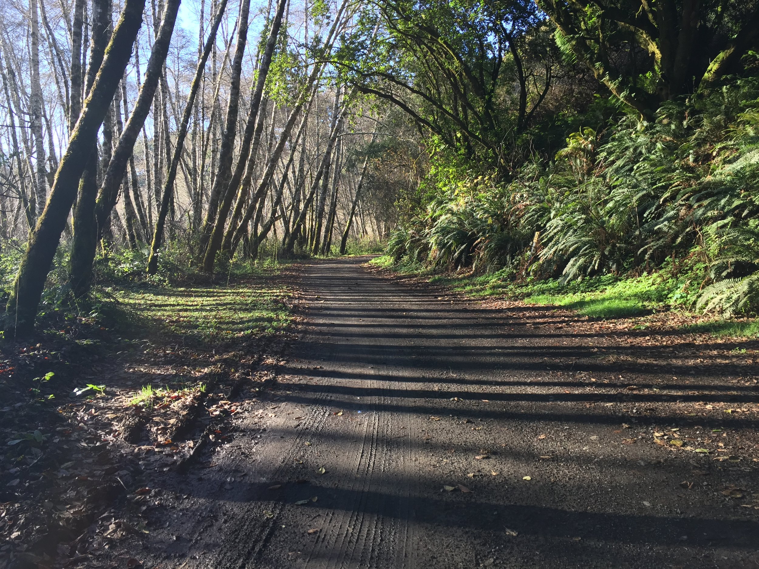 The Story of the Hunt 