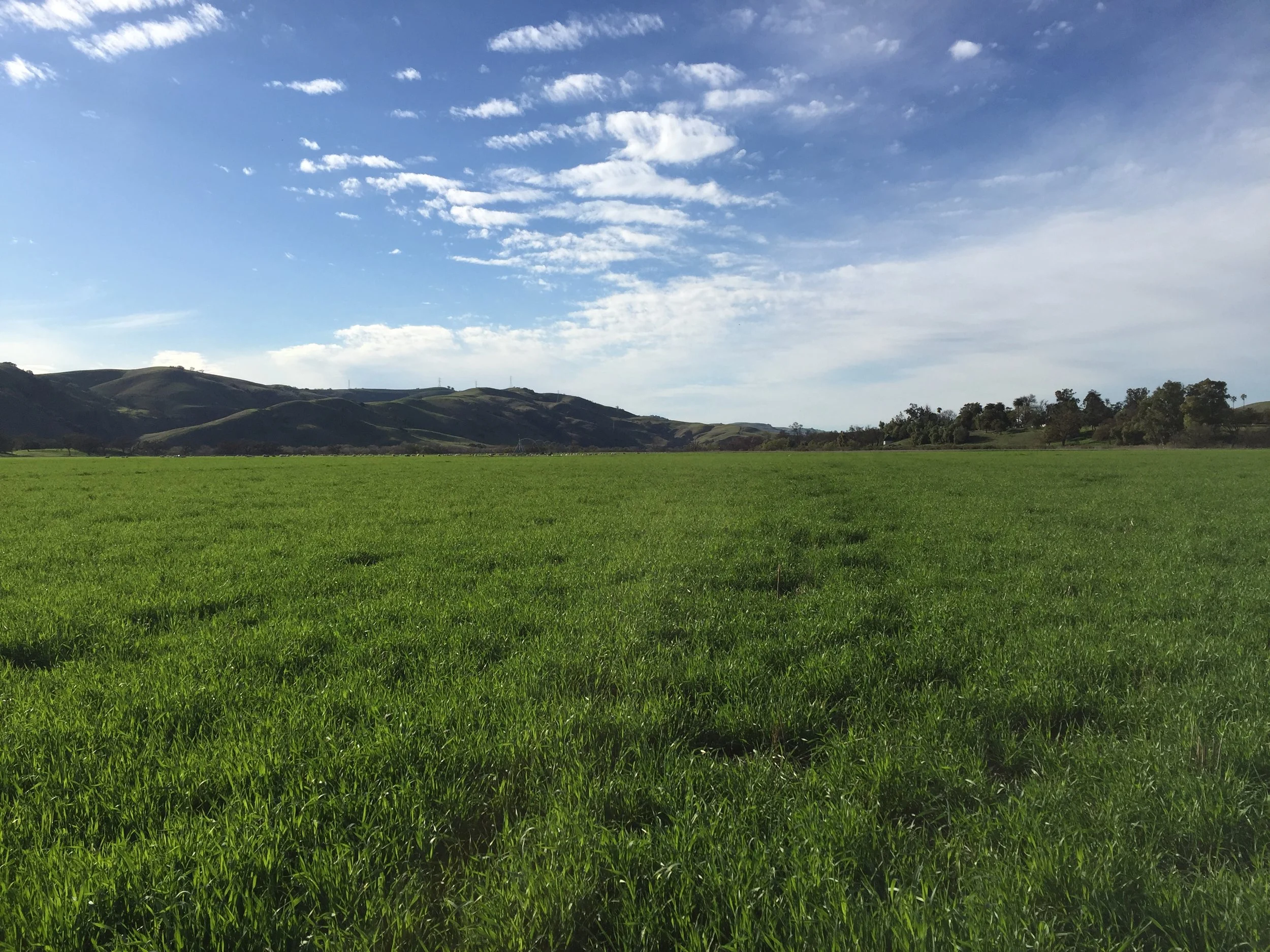 Complexity is an Opportunity