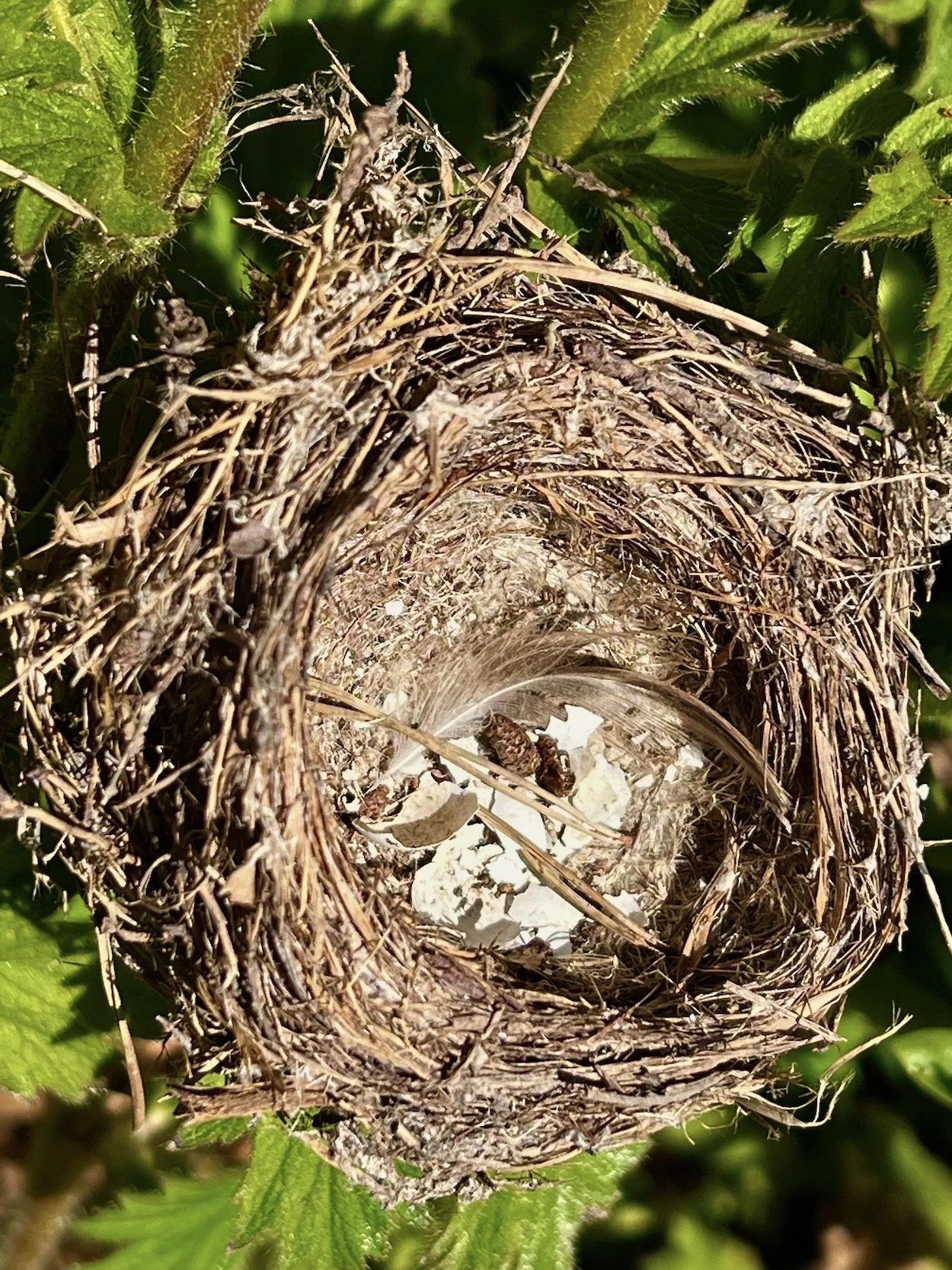 Gathering The Strands