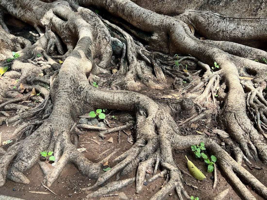 Pockets of Wisdom and Memory