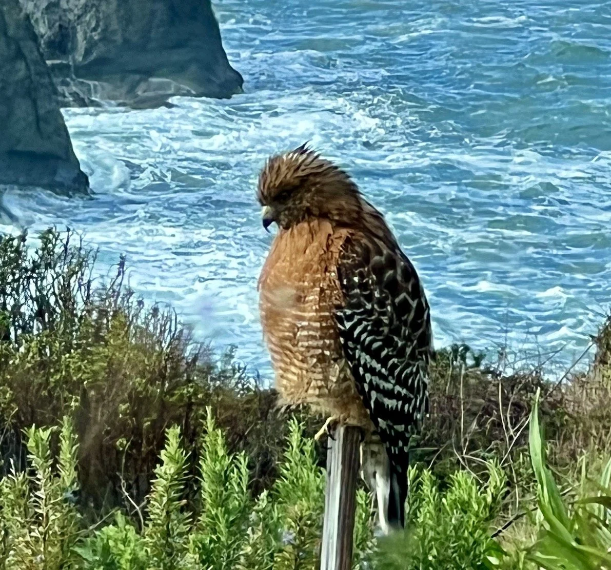 Finding, Giving a Way