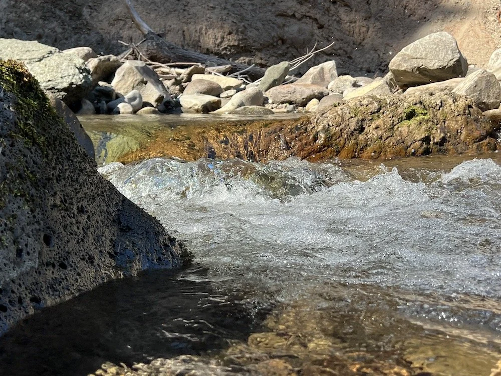 The Opposite of Enemy