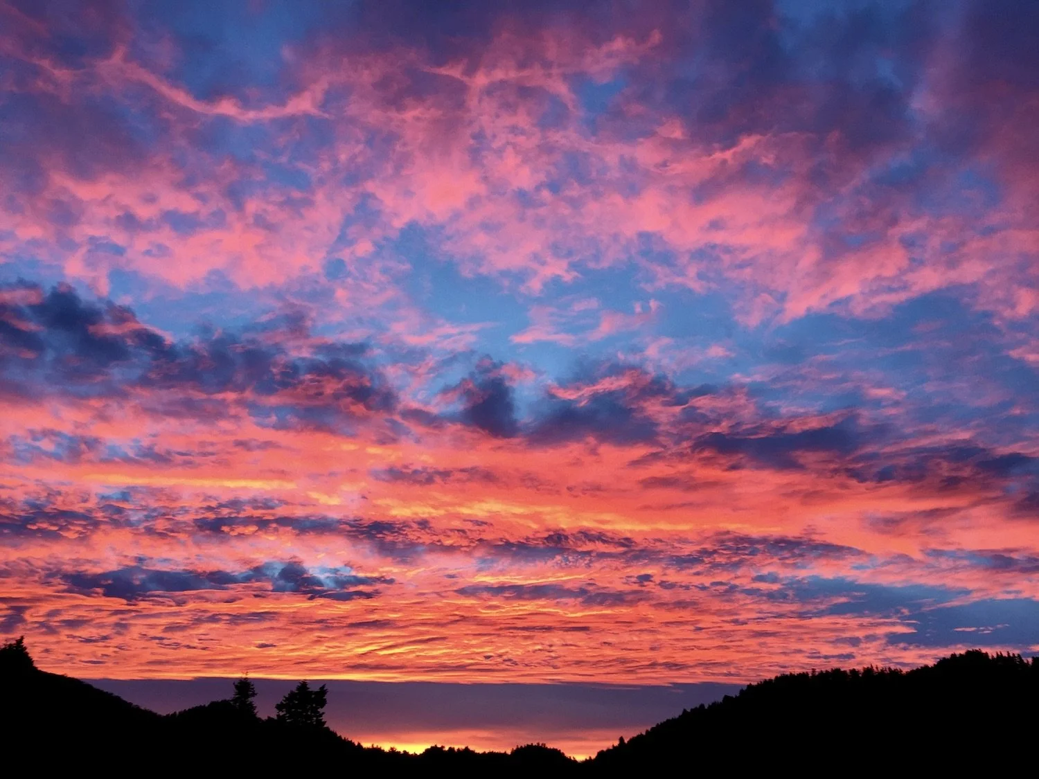 Not the Chosen, but the Choice