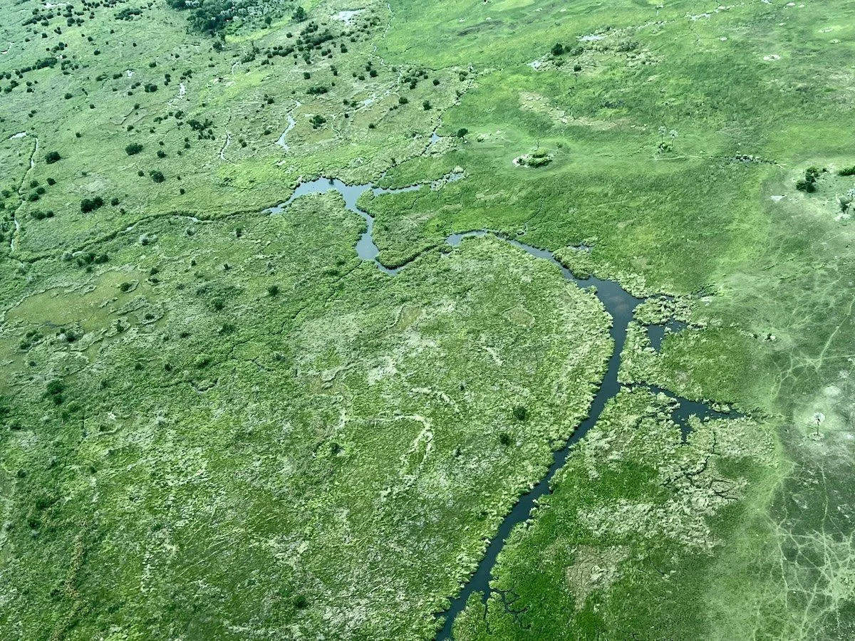 The SCOTUS Majority Doesn't Hold Water