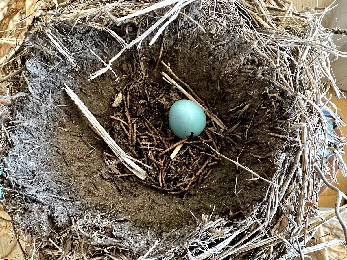 Knowing What We Know