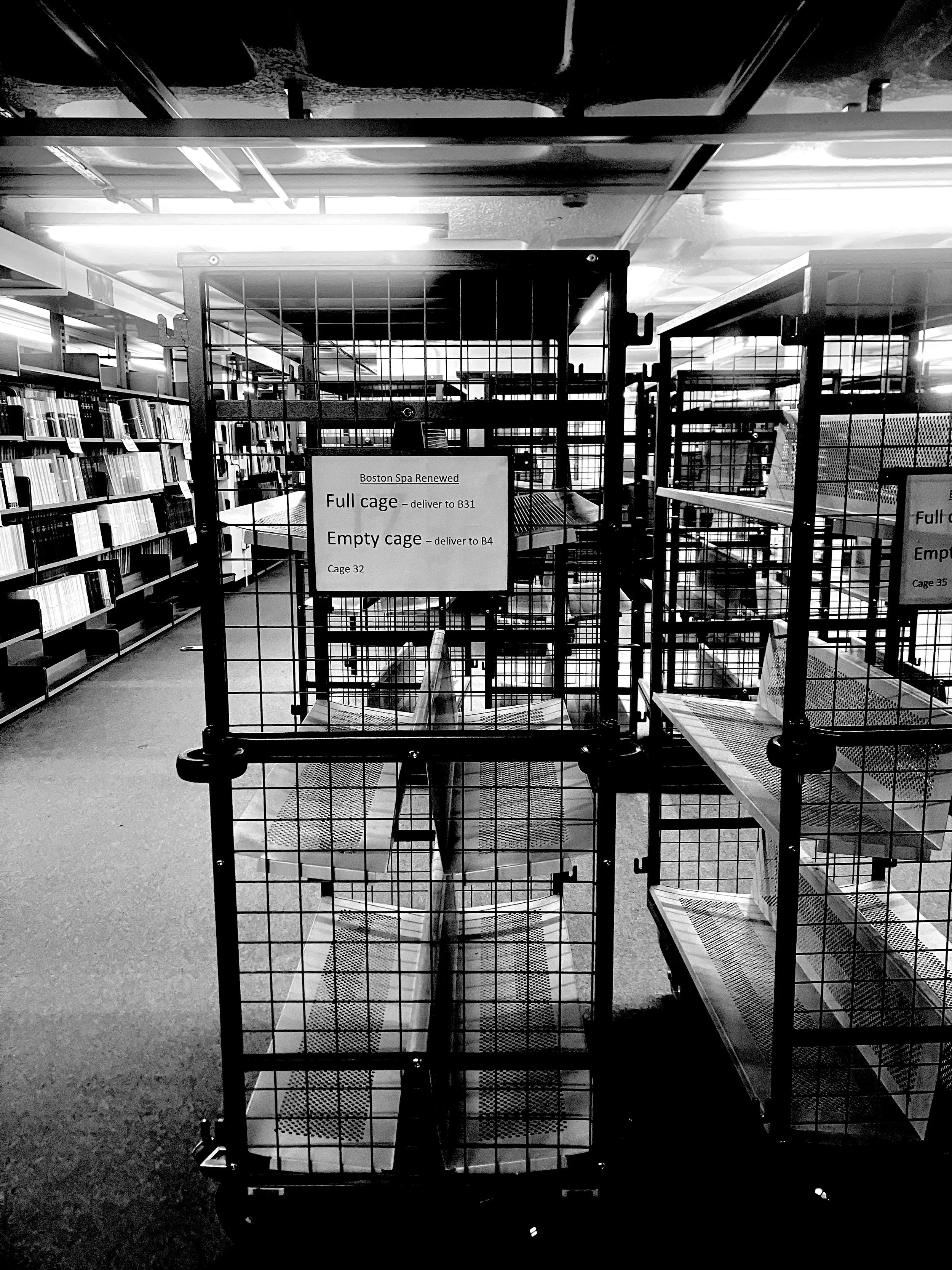 35-cages.jpeg