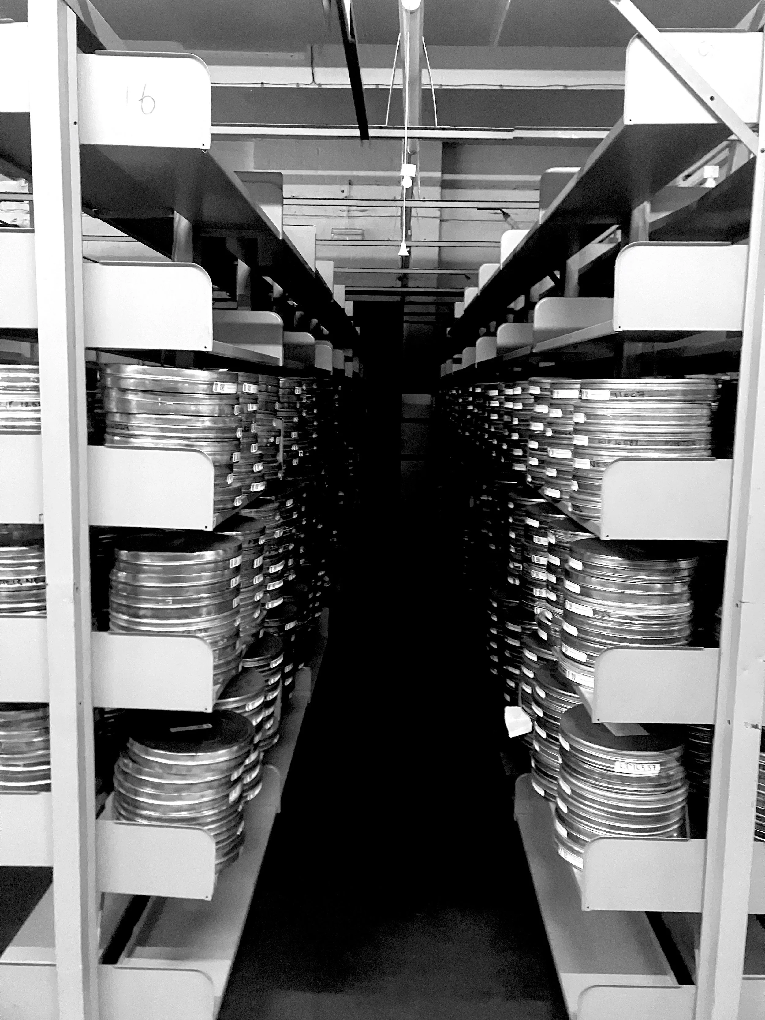 47.negatives.jpeg