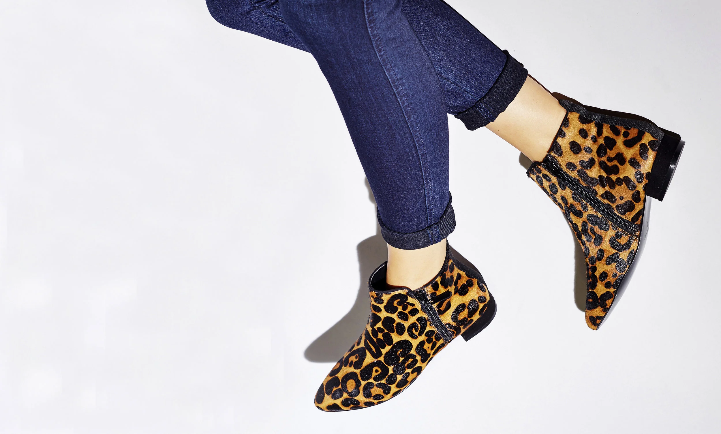 leopardfront copy.jpg