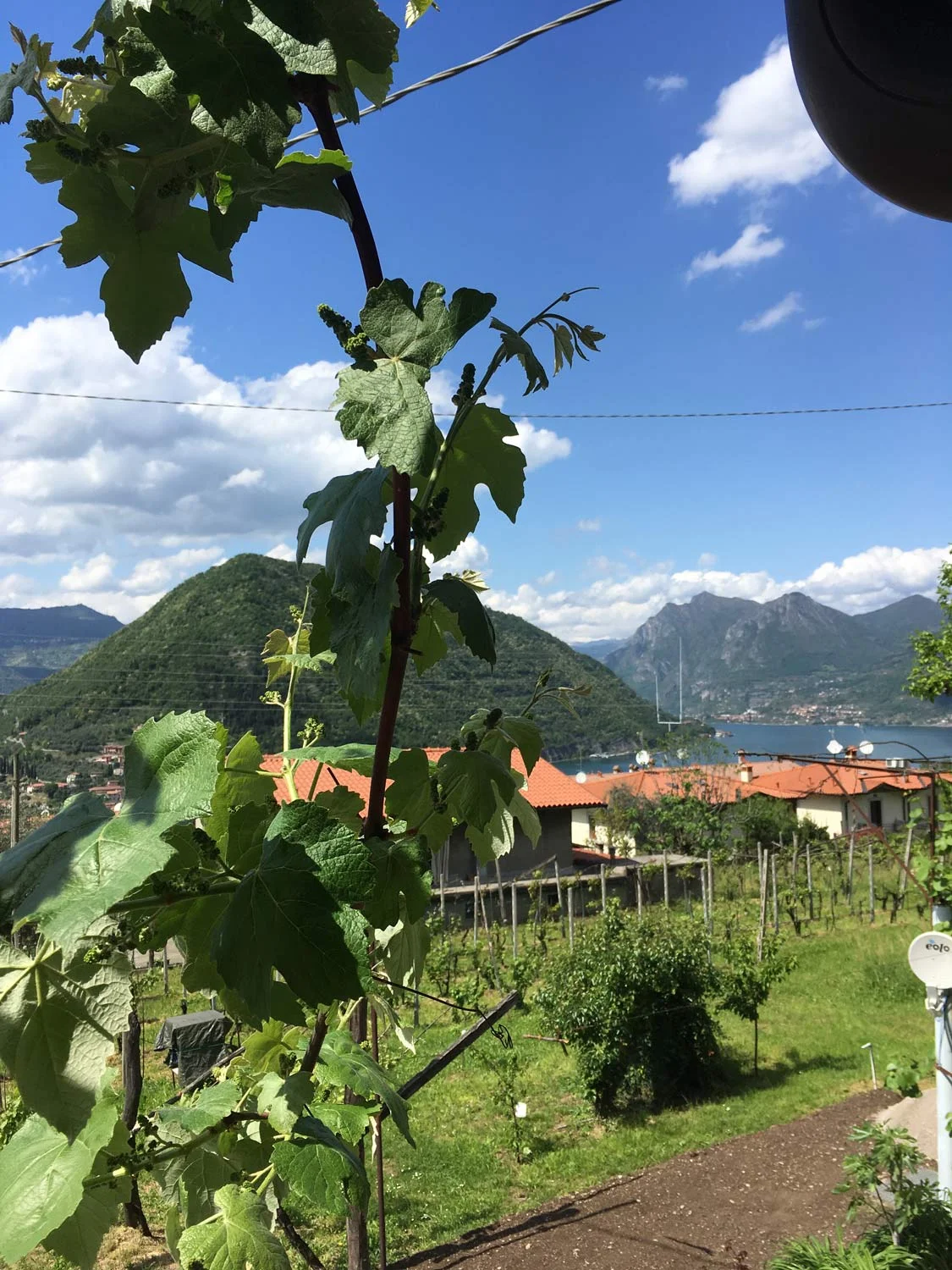 Balcony-view.jpg