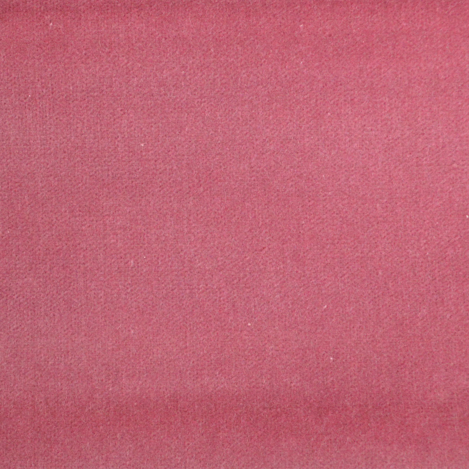 Anni Stripe Fabric - Olive — Imogen Heath Interiors