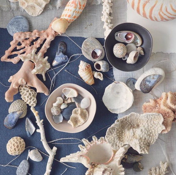 Imogen-Heath-Beach-Shell-Colour-Inspiration.jpg