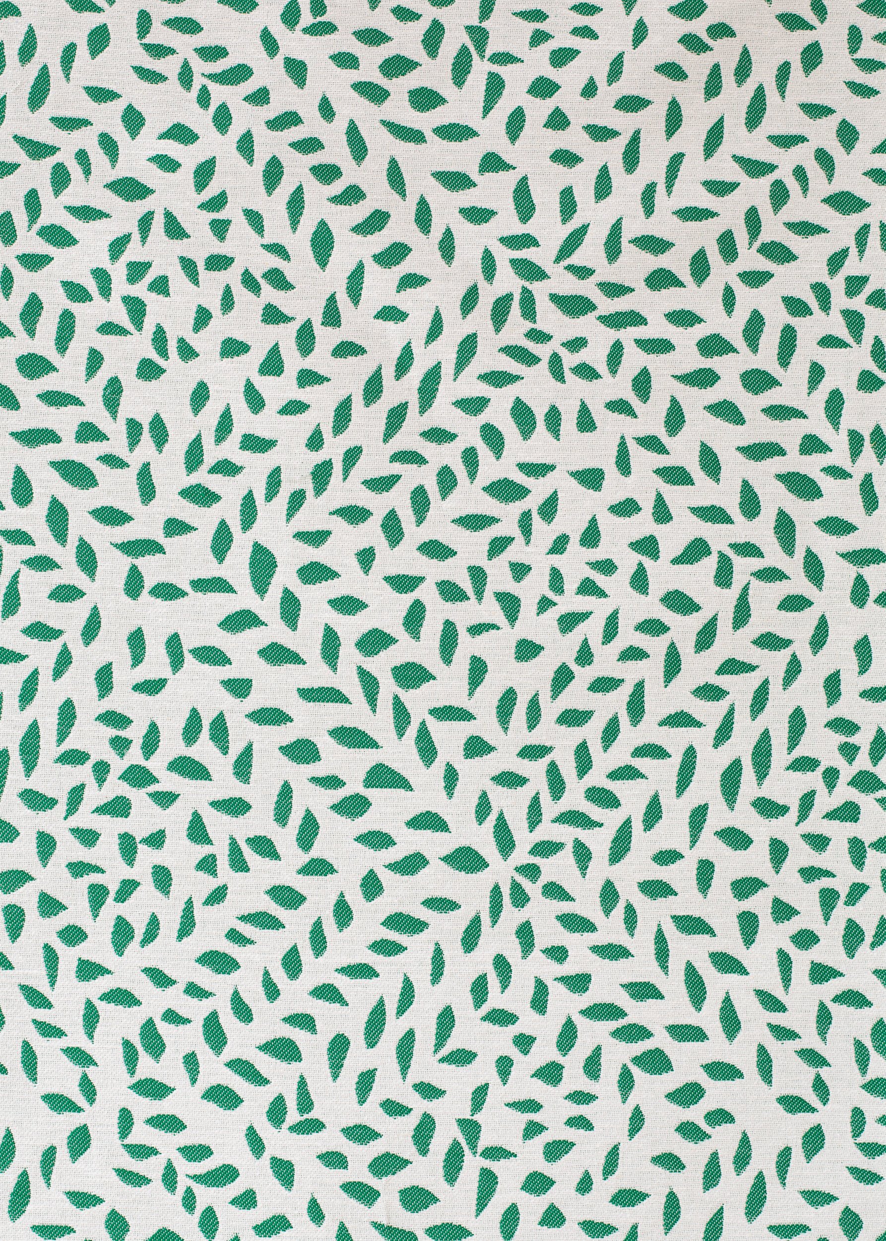 may trellis eden reverse flat lay.jpg