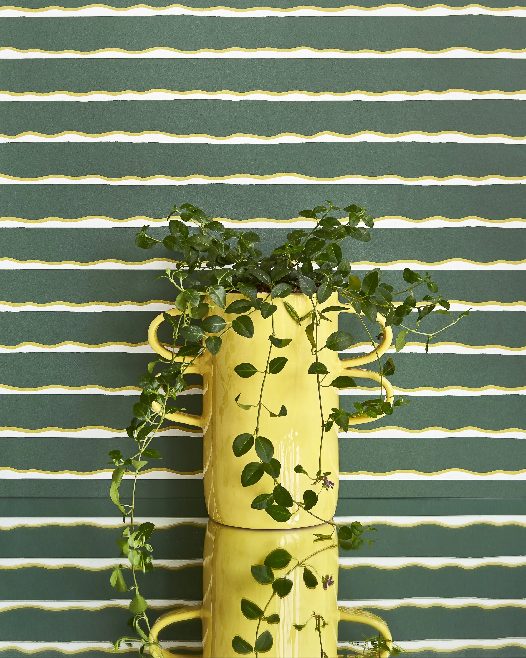 ImogenHeath_LeniStripeWide_Fern_proprender 4 5.jpg