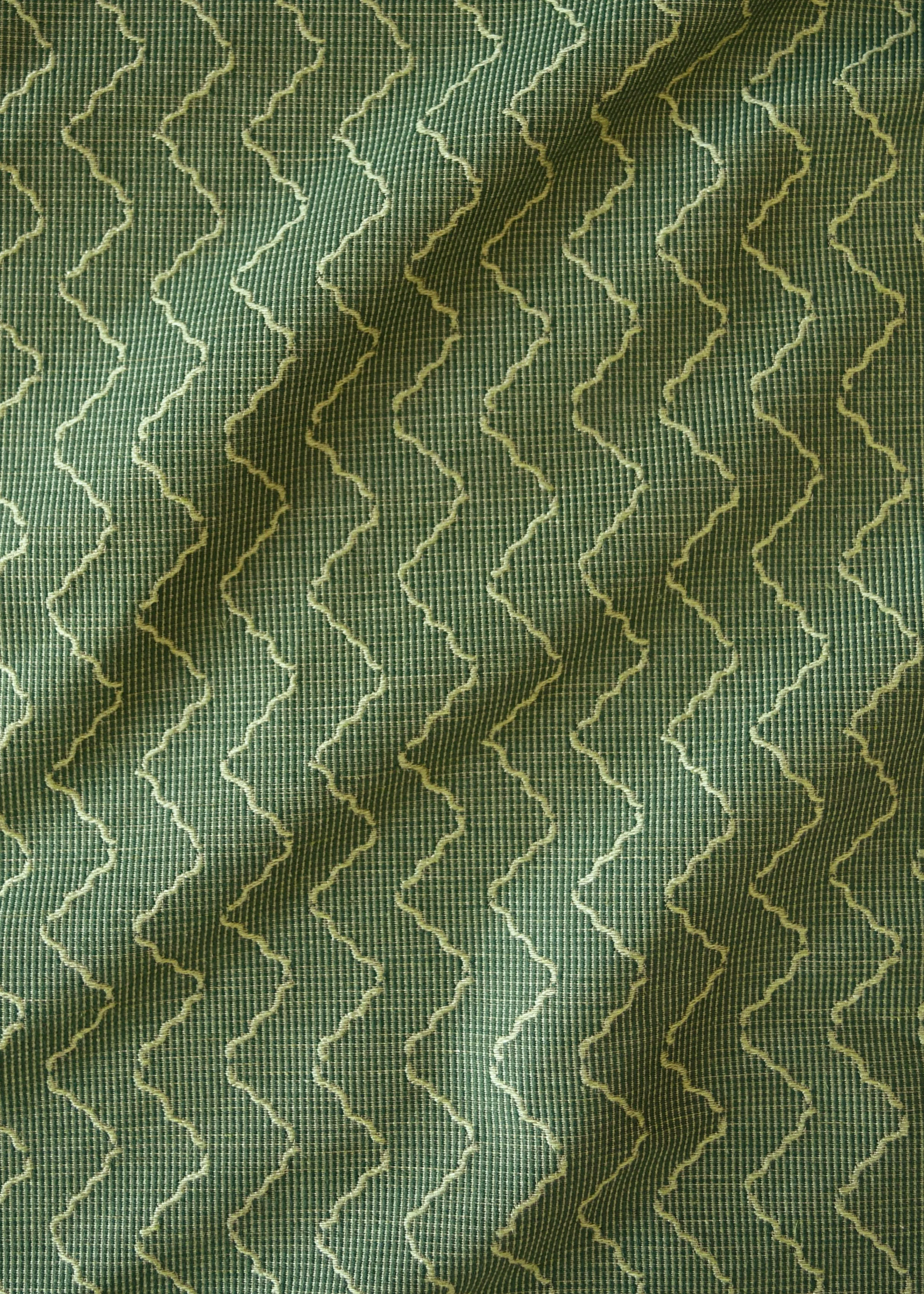 Fyvie Fern Flat lay.jpg