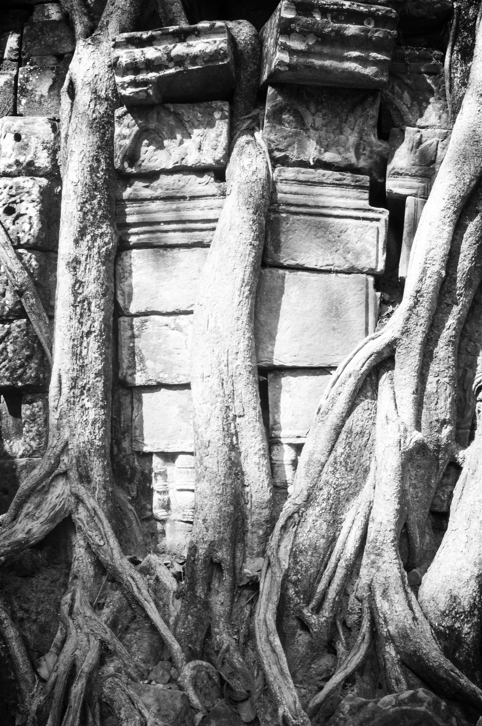 Siem reap, Cambodia. 