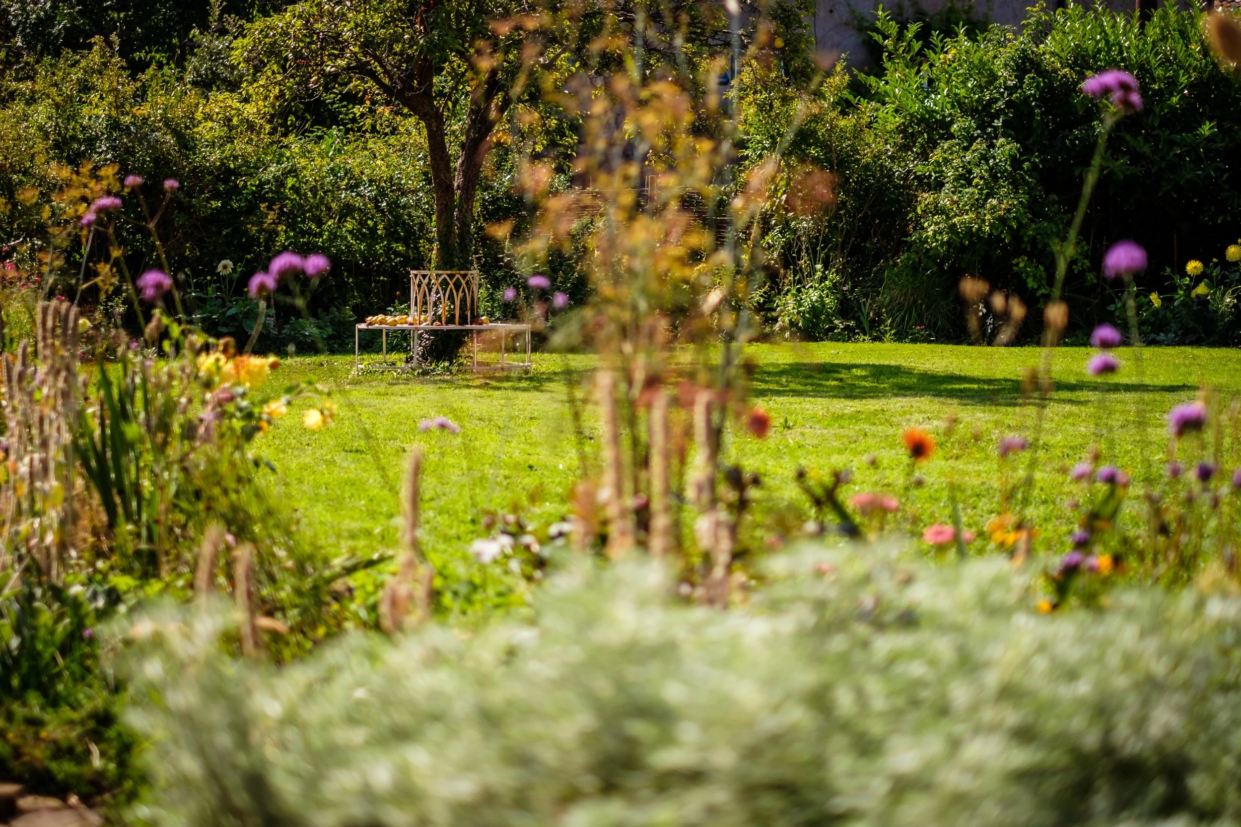 garden bench.jpg