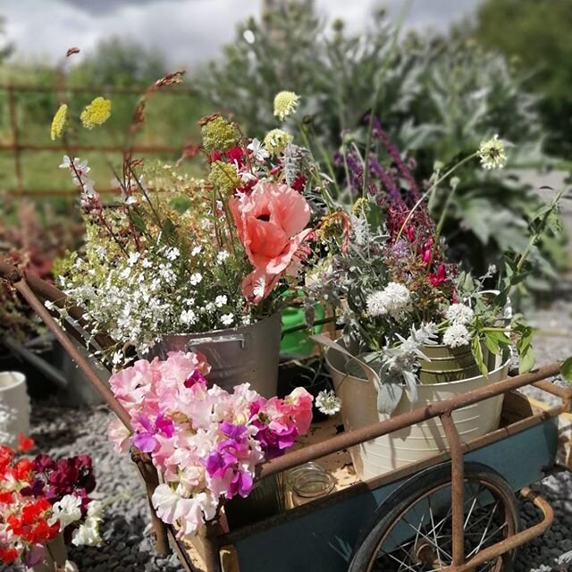 Our rather messy flower trolley- ( bakers bread one bought Frome market )to dip into for our &lsquo;shed shop&rsquo;... (sat9-2pm) had some wonderful customers and plenty of sweet pea lovers ! If you&rsquo;d like a bunch of SPs or a little posy, orde