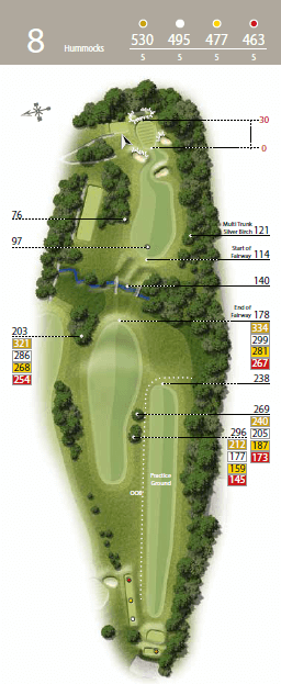 Hummocks - Hole 8 - The Waterfall Golf Course.png