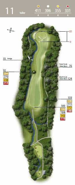 The Valley - Hole 11 - The Waterfall Golf Course.png