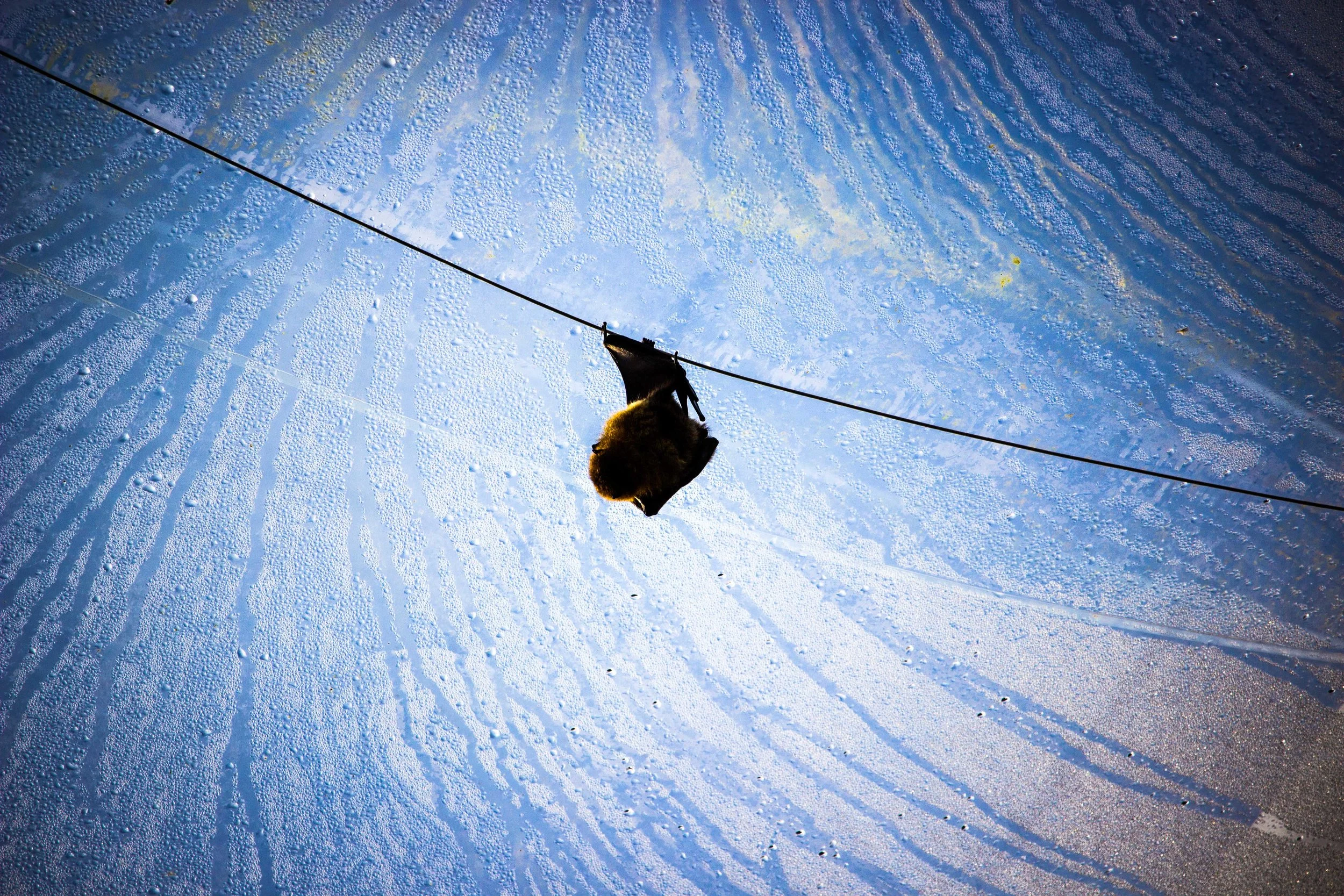 zoozoom-21.jpg