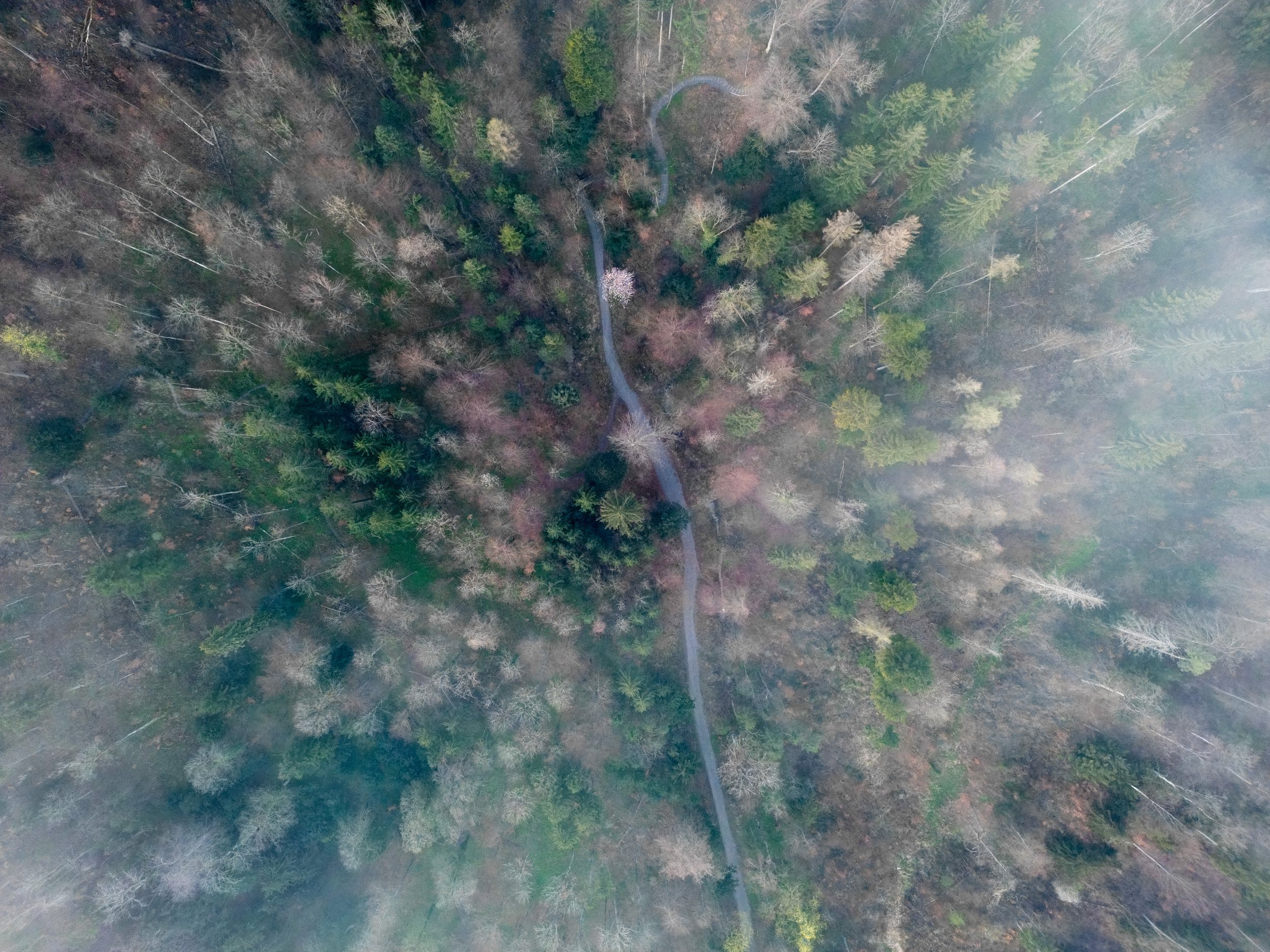 drone-46.jpg