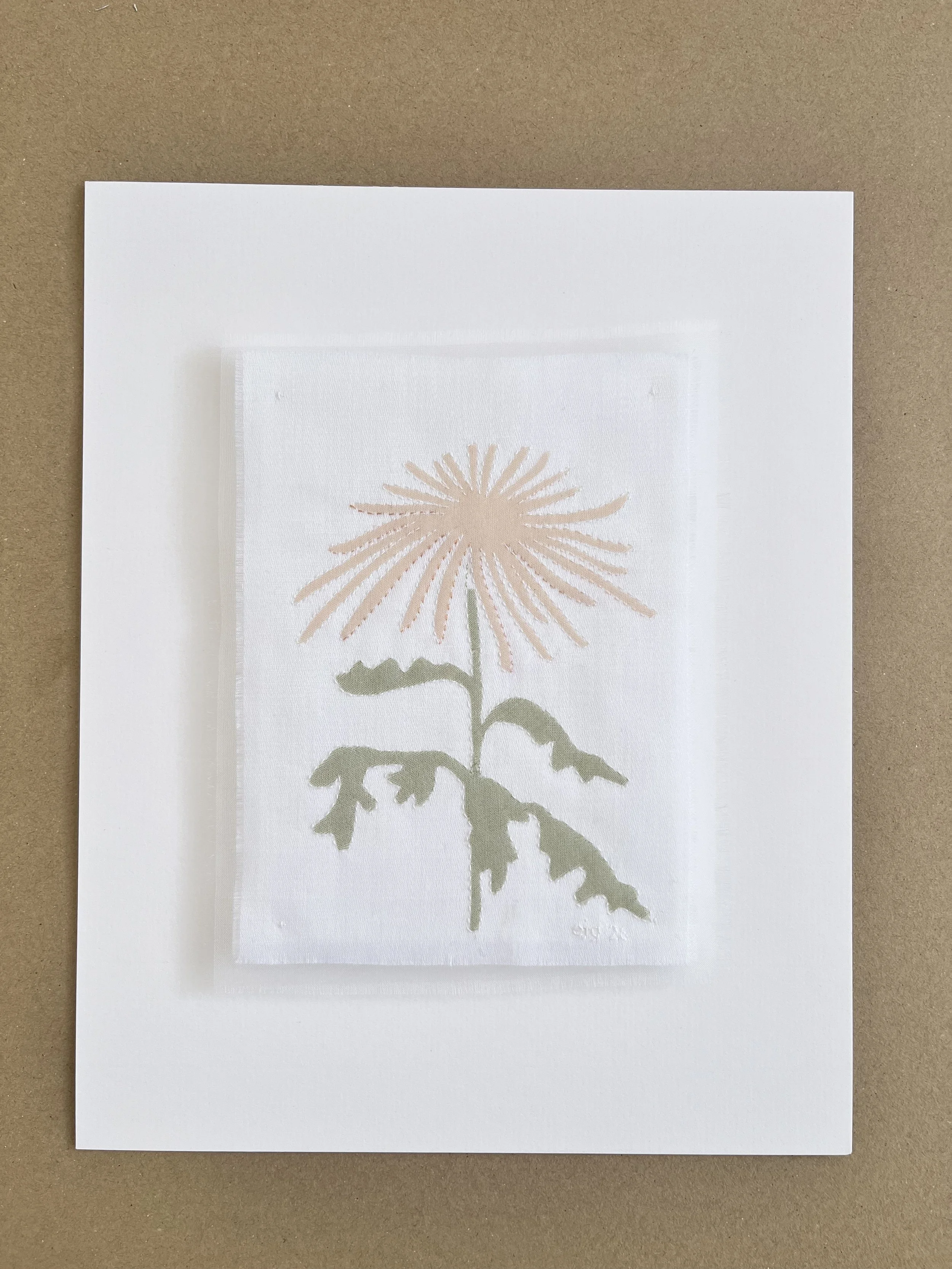 Japan Sketch - Spider Chrysanthemum