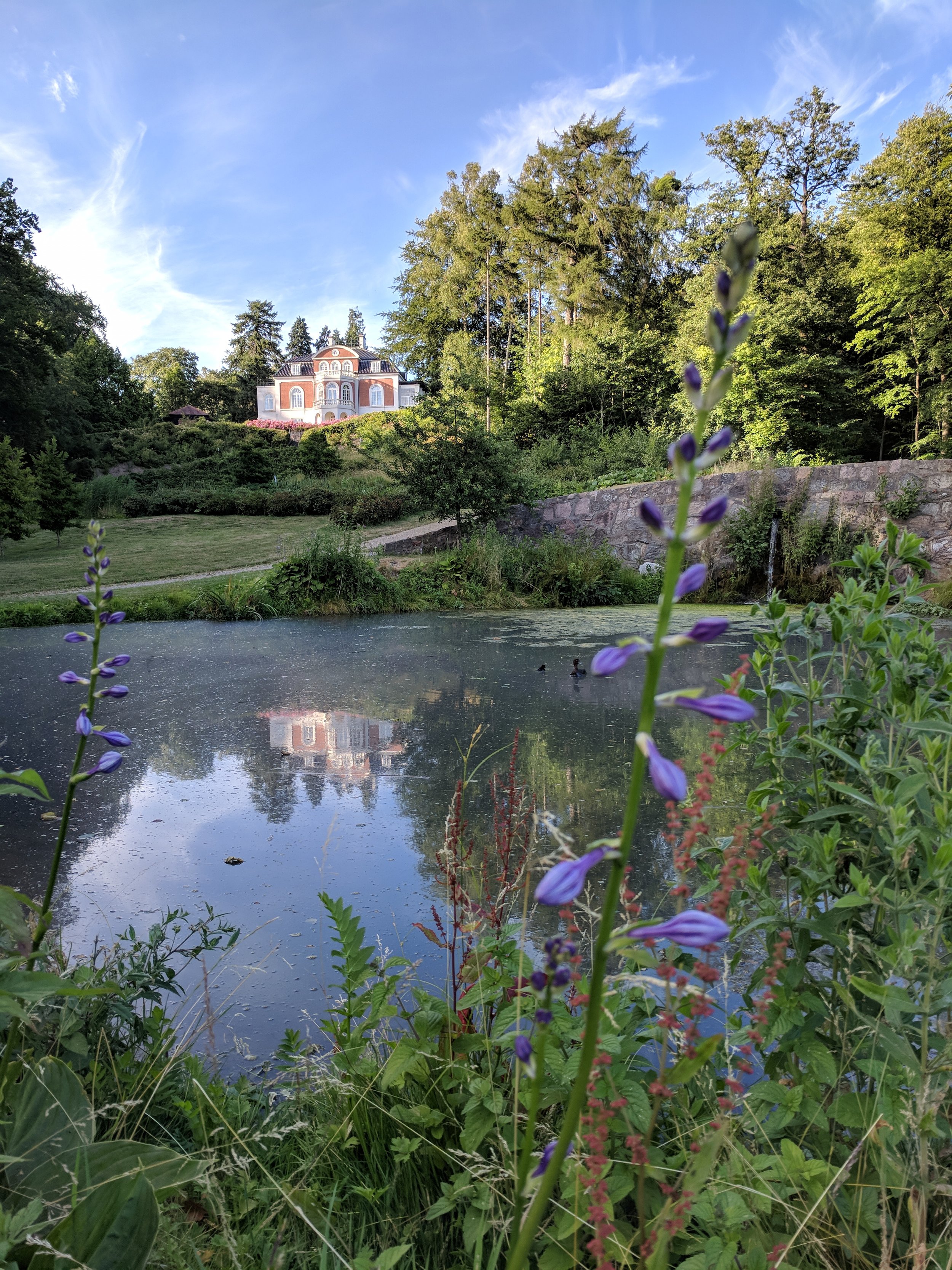 IMG_20180706_192403.jpg