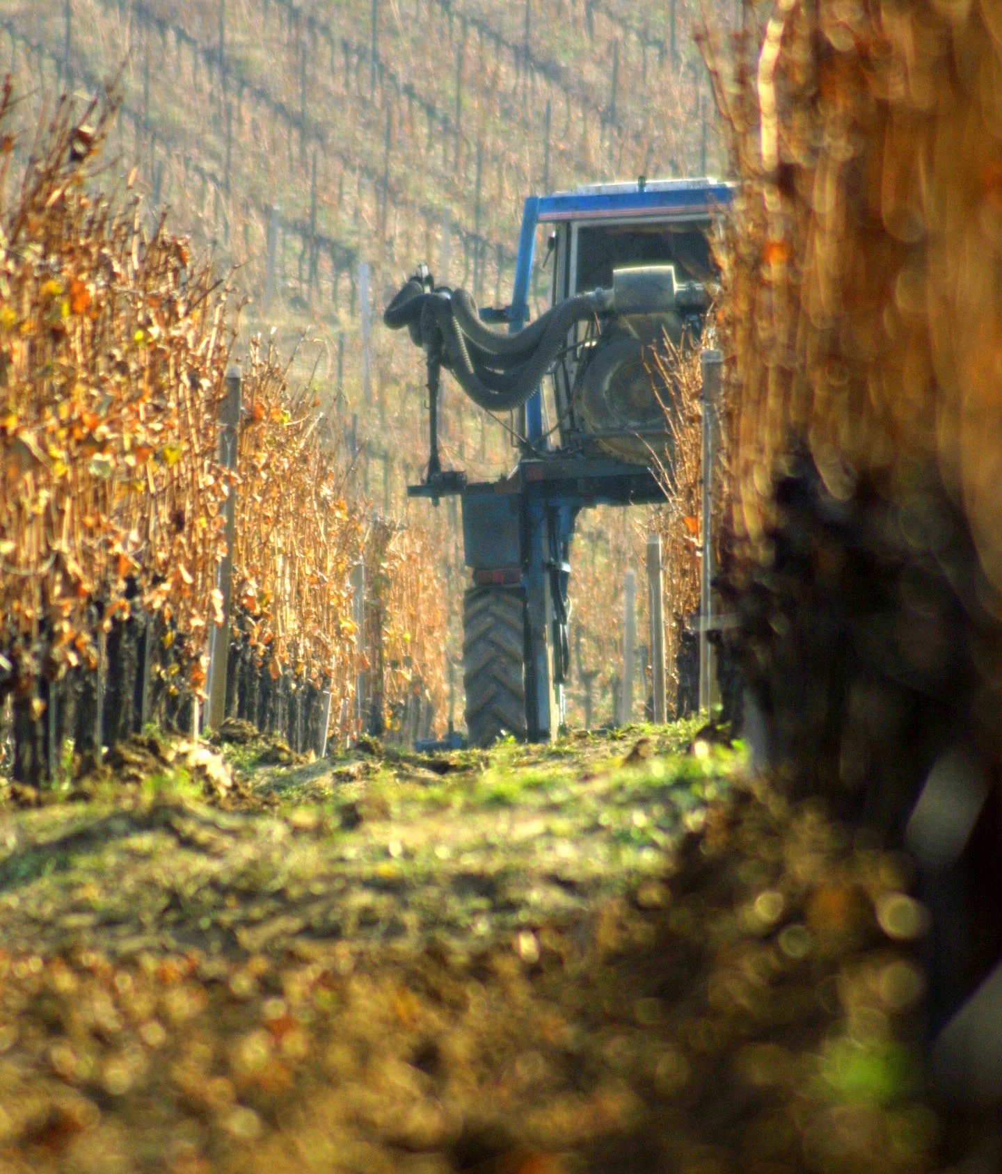 tractor003.jpg