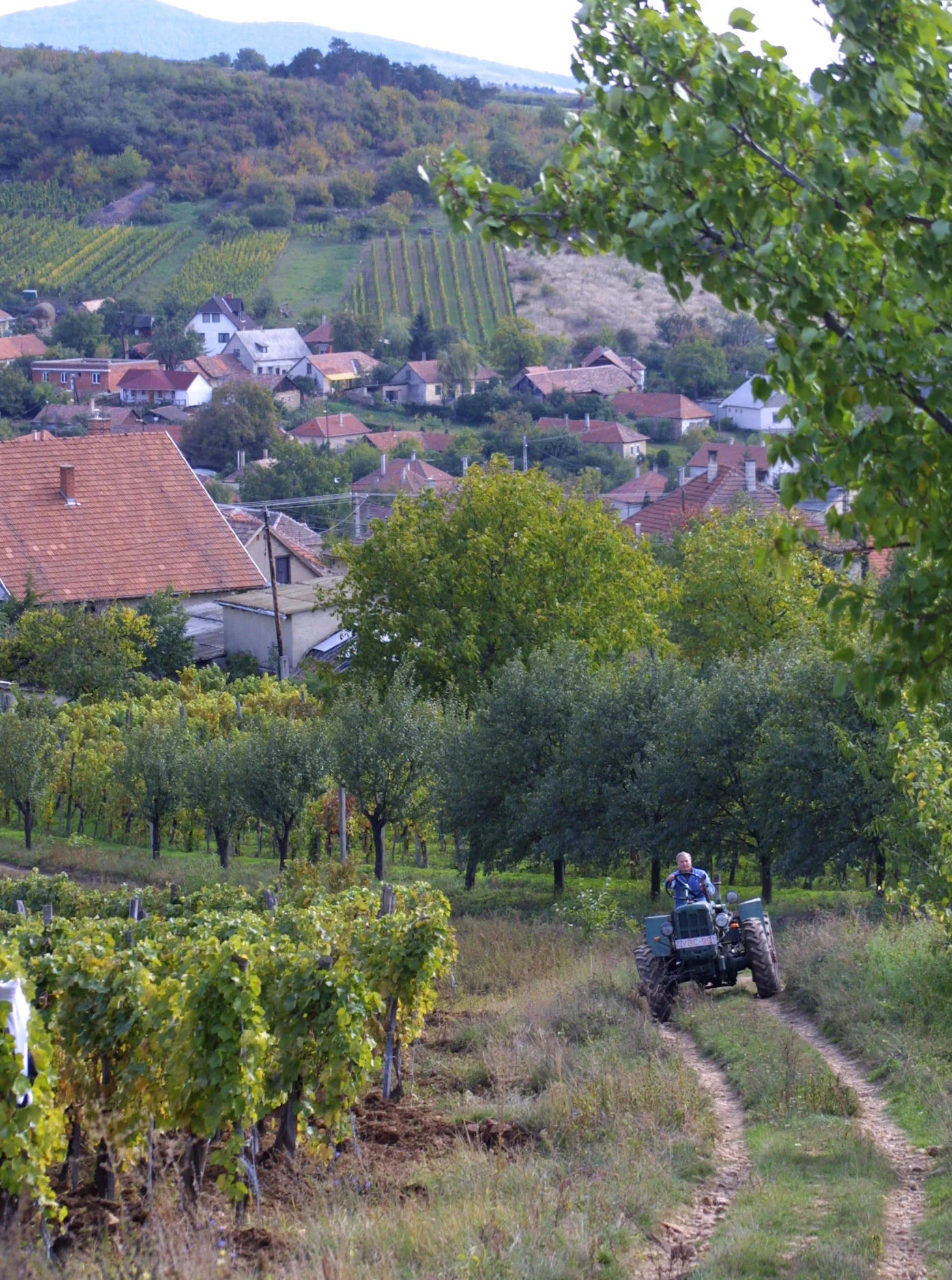 tractor005.jpg