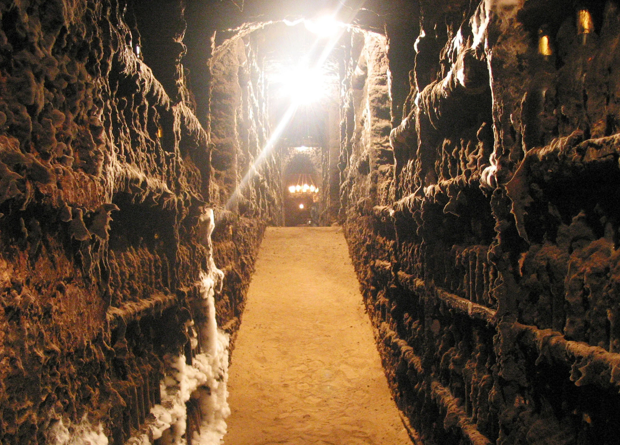 winemuseum003.jpg
