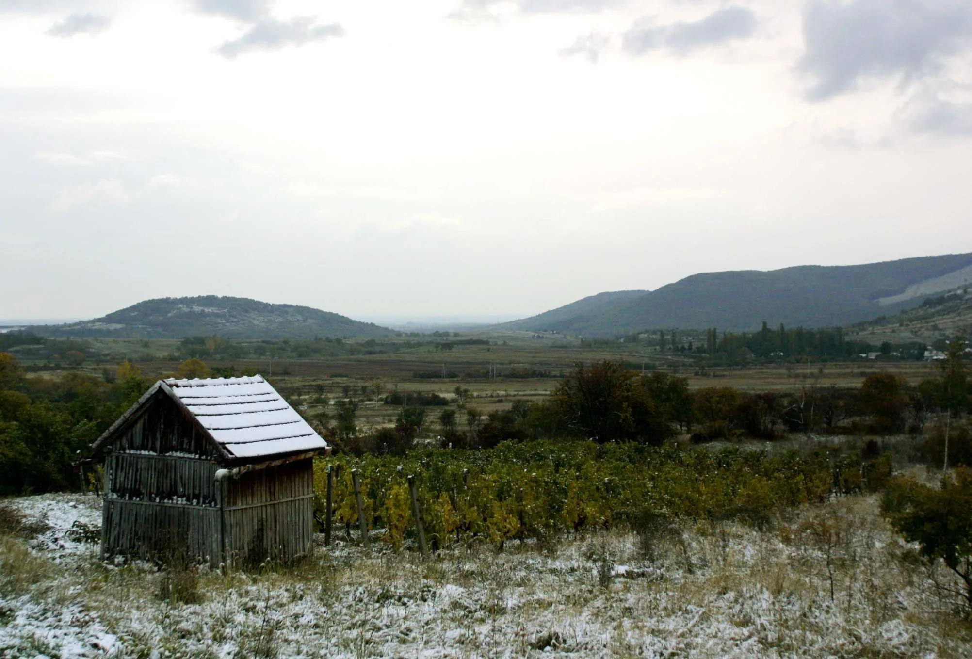 snowytokaj002.jpg
