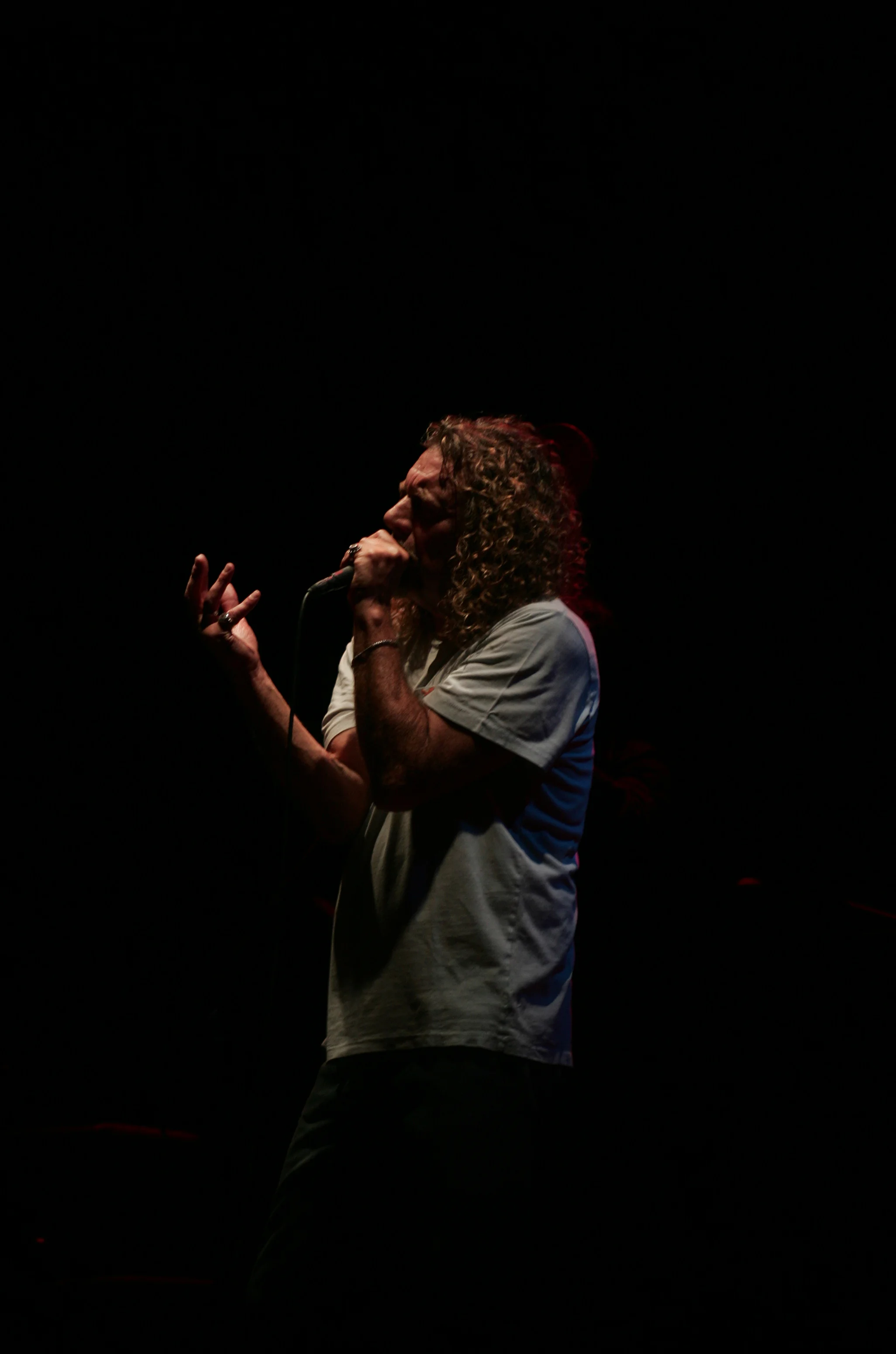 Robert Plant