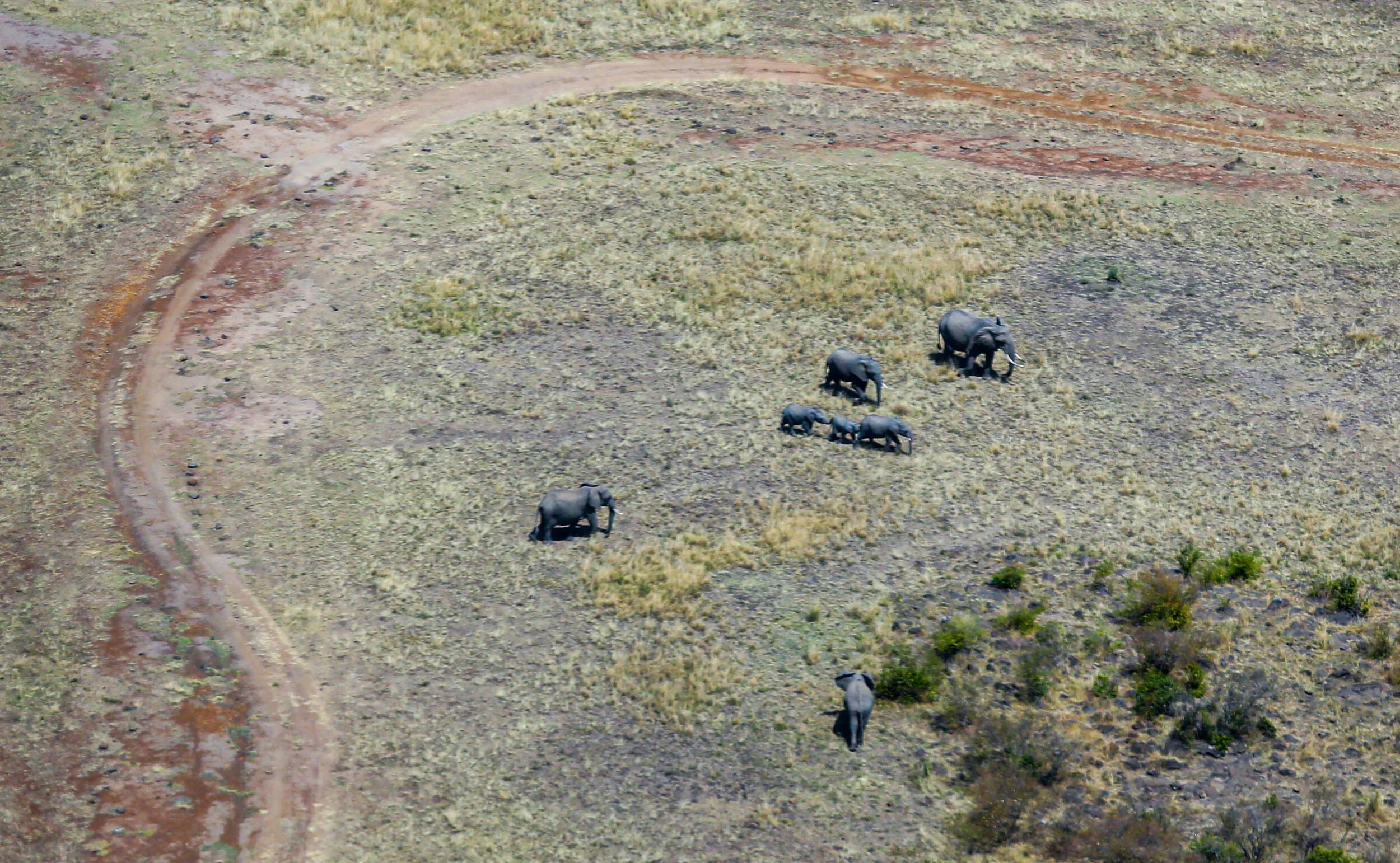 bo1_5712.2.jpg