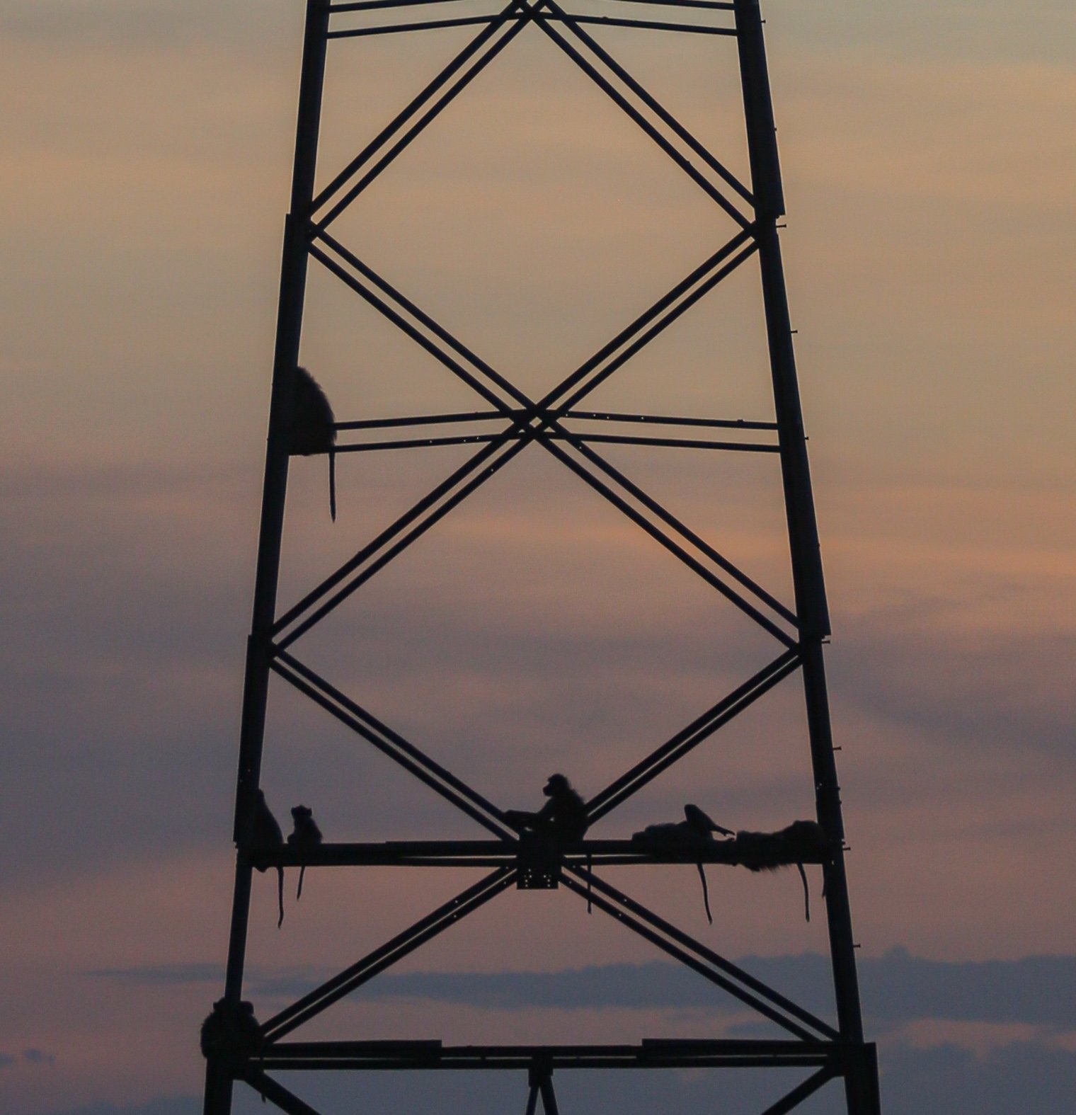 BO1_9516.jpg