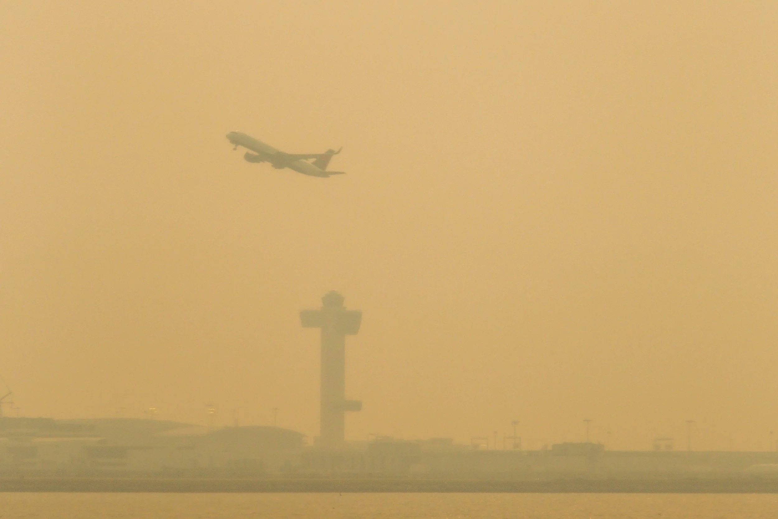 foggyNewYork004.jpg