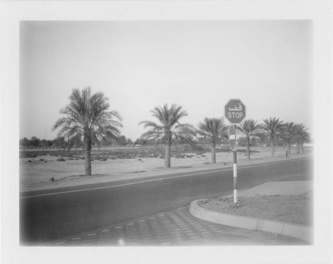 UAE Cyrus M - 3.jpg