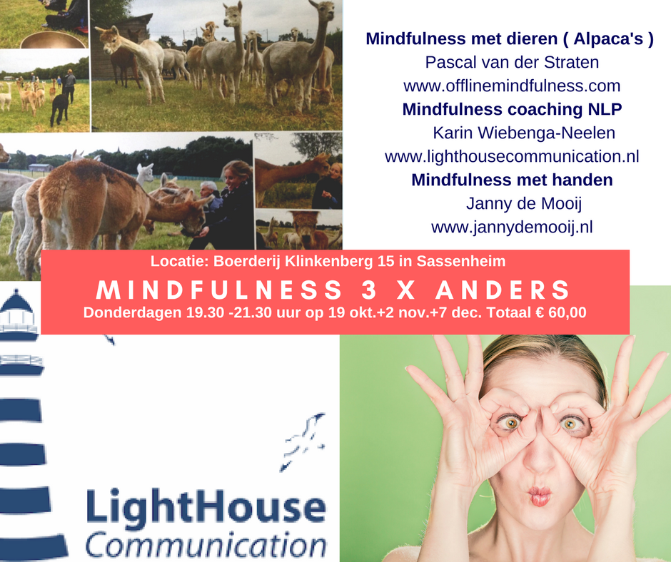 Mindfulness 3 x anders (2) (1).png