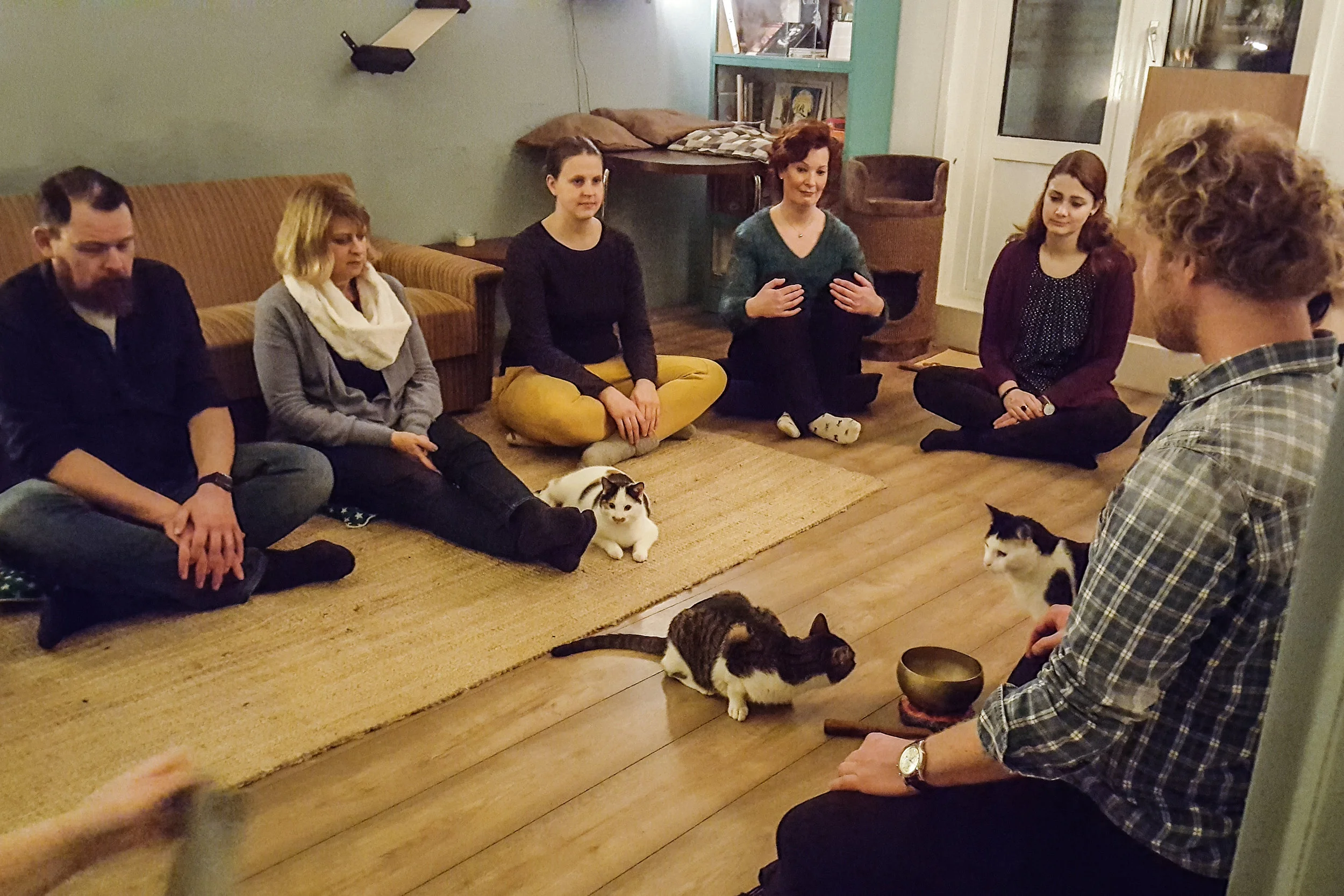 Kattencafé-1.jpg